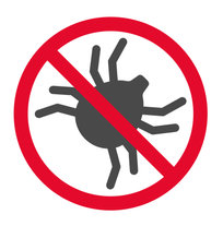 No web spiders!